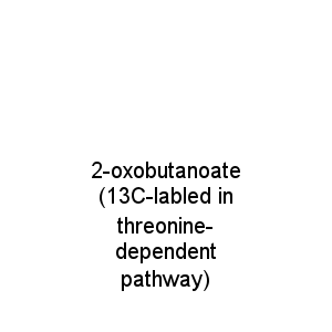 2-oxobutanoate (13C-labled in threonine-dependent pathway)